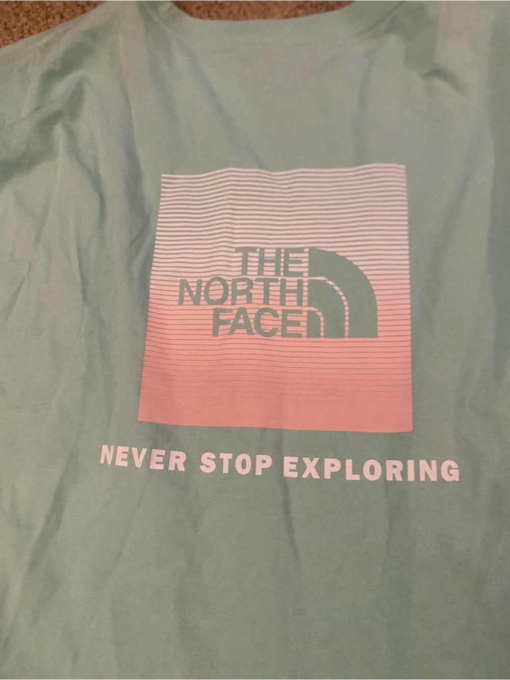 The North Face men’s xl Mint Green T-Shirt